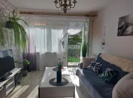 Apartament przy parku