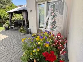 Alia house with garden in Piešťany