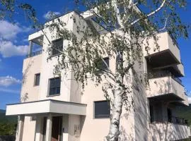 Villa Jelena Rooms and Apartments