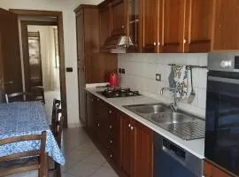 Il ginepro