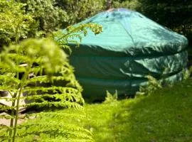 Oakdean Cottage Yurt