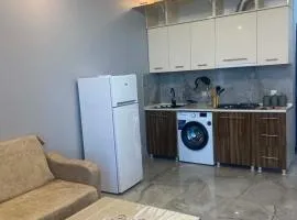 Beachside Apartment in Kobuleti