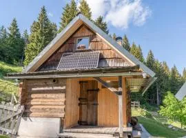 Koča na planini Jelje - Pokljuka
