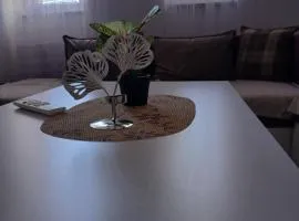 Affordable and Fully Furnished Apartment Fushë Kosovë, Ground Floor