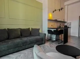 Roosevelta Residence Apartments - przy OFF Piotrkowska, FV - Klimatyzacja - WiFi, Orientarium, Atlas Arena, HopaLupa, Aquapark Fala, EC1