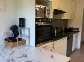 La landaise entre bordeaux et Arcachon