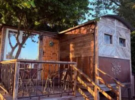 The Cosy Nest Hut