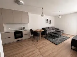 Apartament nad Stawami