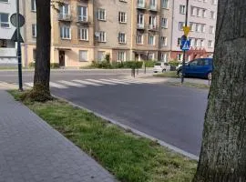 Kawalerka nad Odrą