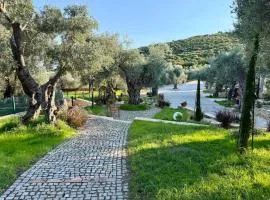 Val D'or Olive Village