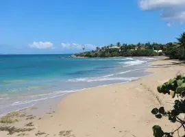 Walk to the Beach - BioBay & Snorkel Tours
