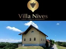 Villa Nives, wine region Jeruzalem
