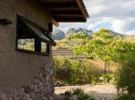 Casa Nativa