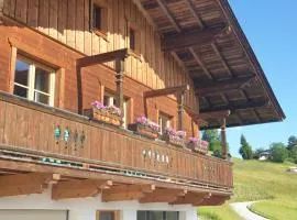 ZuHaus Gruab - Dog Friendly Tyrolean Apartment with fireplace Wildschönau Premiumcard