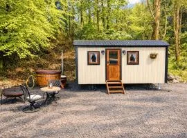 Shepherds Hut with Hot Tub in The Heart of Snowdonia