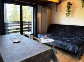Résidence L'oustal - Grand studio mezzanine 6 personnes MAE-4104