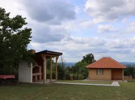 Golden View Vis