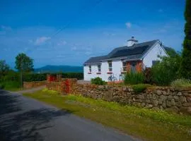 Bridge's Cottage - Hot tub - Plunge Pool