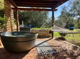 Mountain Cabin private hot tub and swimming pool