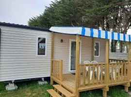 Mobil-home, animaux admis - 6 pers. - API-1-52-2939