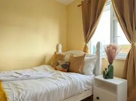 Erris house
