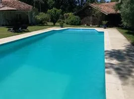 Bois sauvage