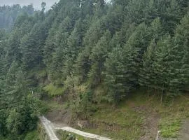 Casa Azul Retreat, Bara Gali near Nathiagali