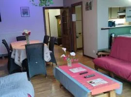 Ruim Appartement, frontaal Zeezicht, 2 slaapkamers, privé Parking mogelijk