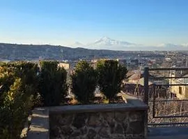 Ararat Terrace House