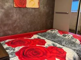 Palanga Center Apartment, Daukanto Street