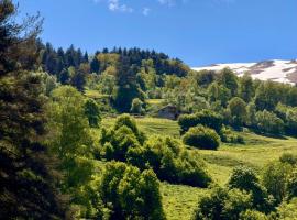 Vasos Home, hotel i Tusheti