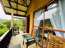 Rainforest Nature House