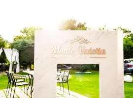 Monte Vedetta