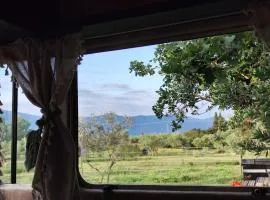 Caravane Olivia au milieu des chevaux avec bain nordique