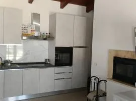 Oasi 29