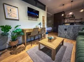 Modern Flat in the Cape Winelands