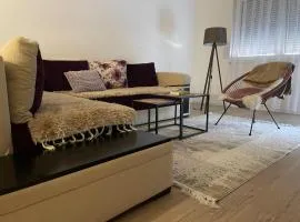 Happy apartment