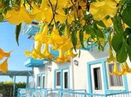 enjoy otel