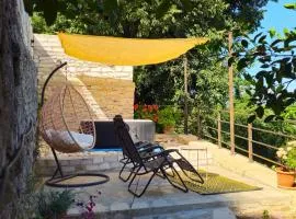 Lemon Garden