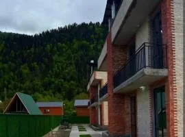 Twin Villa In Sadgeri