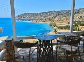 Alezina studios