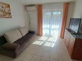 Apartments near Beach in Zamardi-Balaton 58067