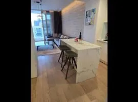 City Centre Apartments in Budva