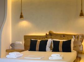 Villa Alisachni Andros, hotel a Agia Eleousa