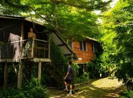 Unique Private Tree Top Cottage in Tropical Garden, Near San Ignacio Town