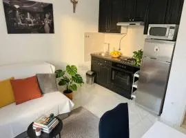 Luxury Apartment