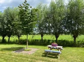 De Weidse Wetering - rust en ruimte in de natuur