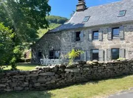 gîte 9 personnes puy mary