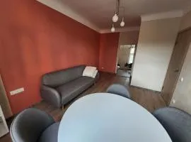 Vintage charm at modern living, private parking, 7 min Old Riga
