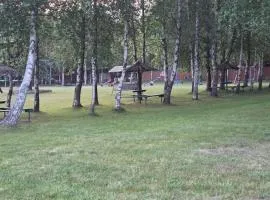 Всім бобра